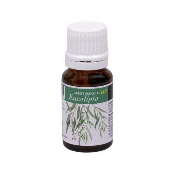 Esencia eucalipto ECO 10ml